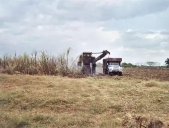 Sugarcane cutters in Cuba. Photo: Wikimedia Commons