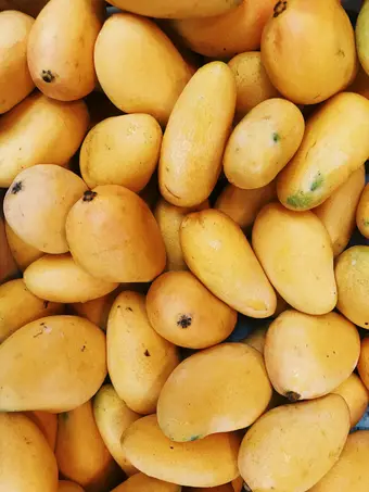 Fresh Caribbean tropical fruits selection. Photo: Pexels