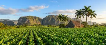 Vista panorámica del Valle de Viñales con mogotes y campos de tabaco en Pinar del Río, Cuba